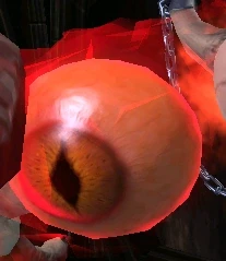 Grand Watcher.png