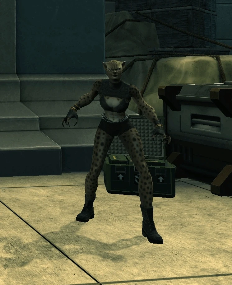 Cheetah