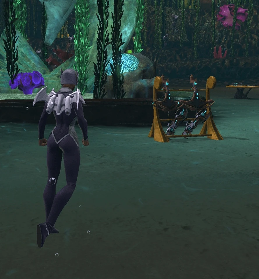 Player Character near Weapon Rack