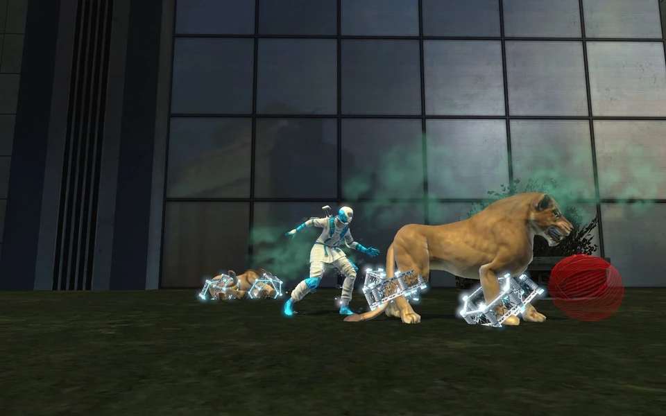 Animal Rescue 2.jpg