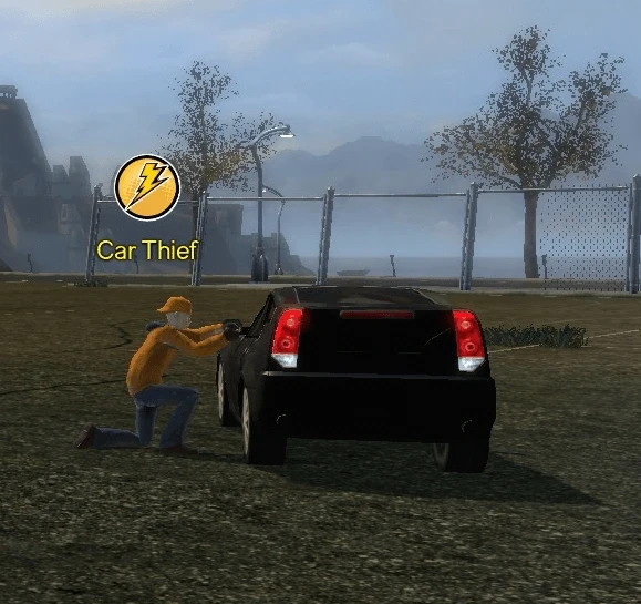 Car thief