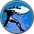 Avalanche icon